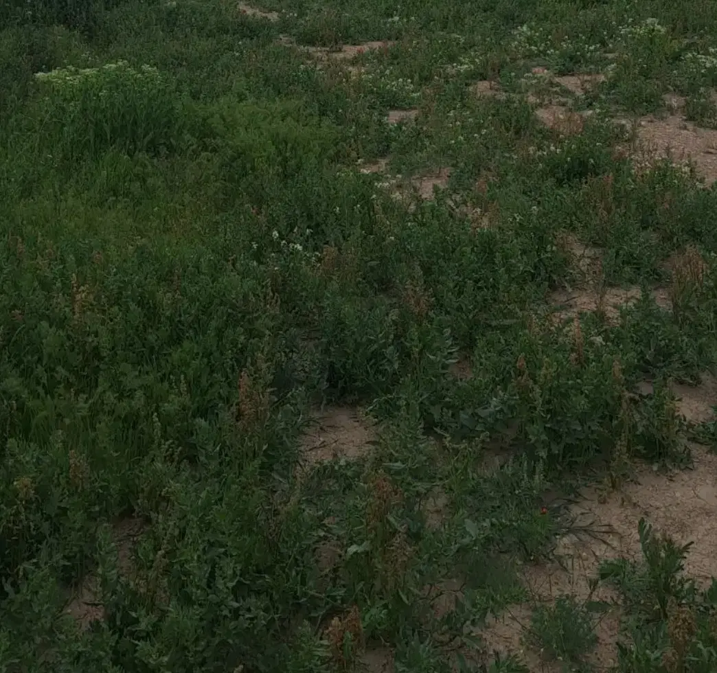 زمین ویلایی
