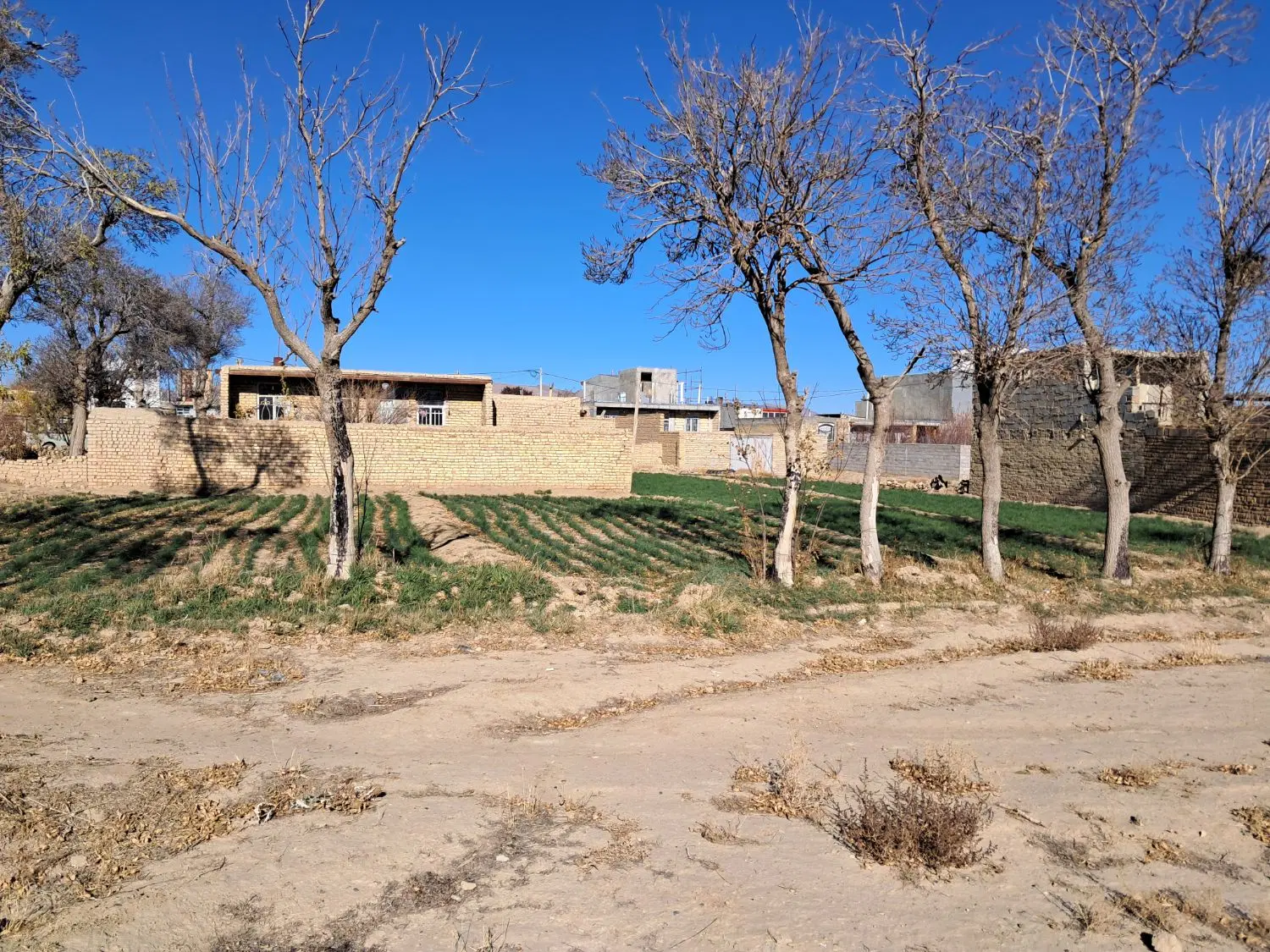 ۵۰۰ متر زمین روستای سعیدآباد