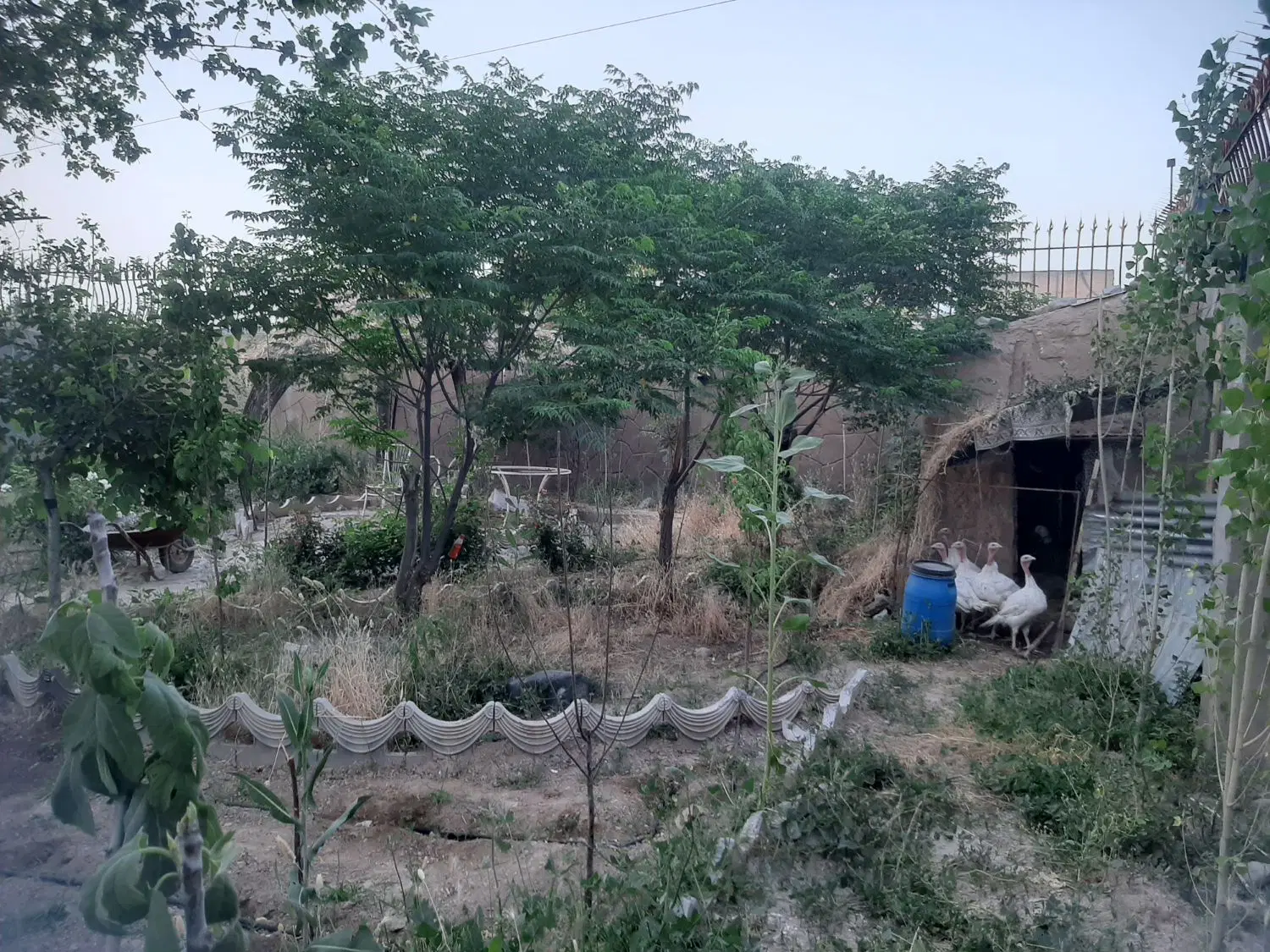 باغ ویلا ۷۰۰ متری در جاده کلات باغفراگرد