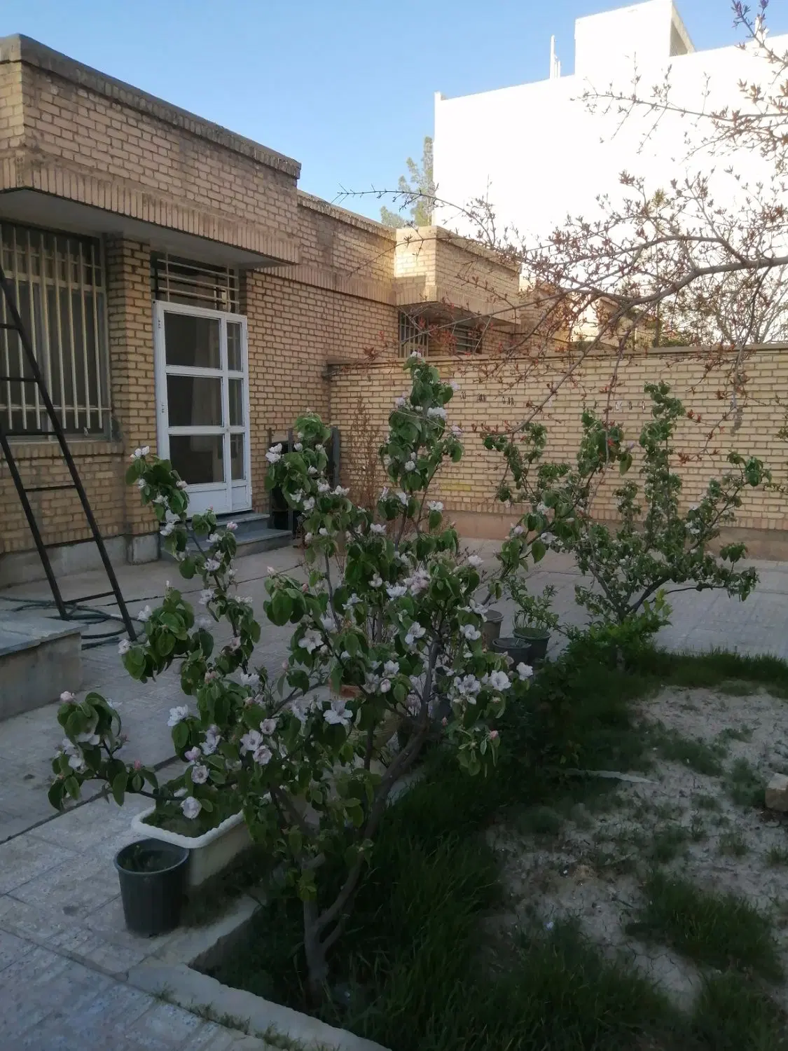 مخابرات باسایکی