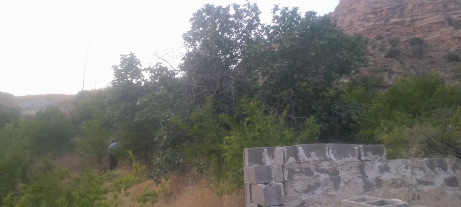 فروش قطعه زمین باغ در  چتی سرحد