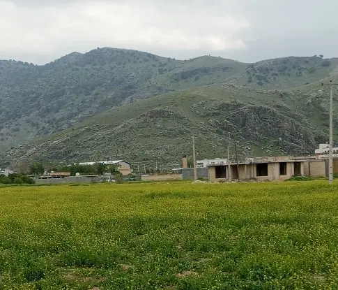 زمین مسکونی نوراباد
