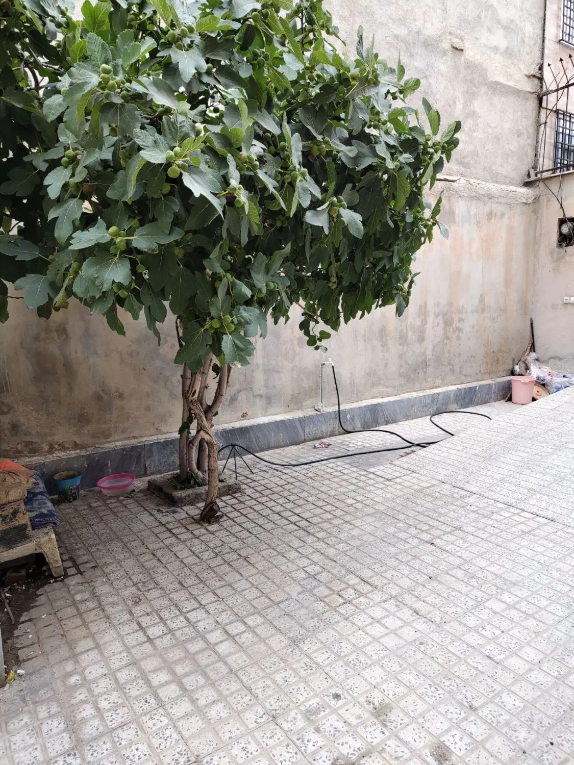 فروش یک واحد آپارتمان همکف با حیاط
