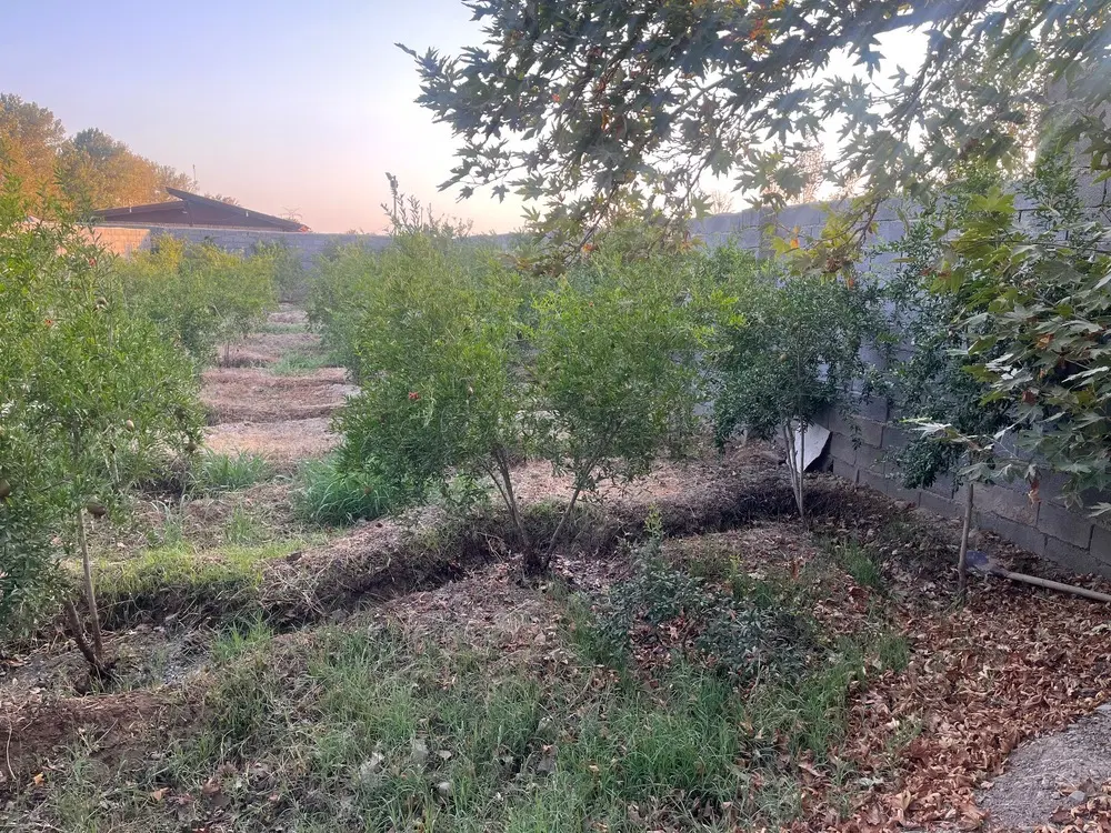 باغچه فروشی در جاده کانال