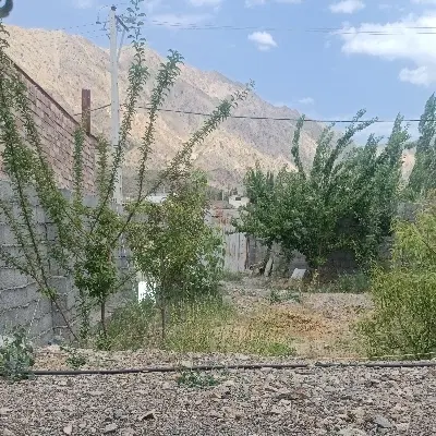 زمین ده در ده