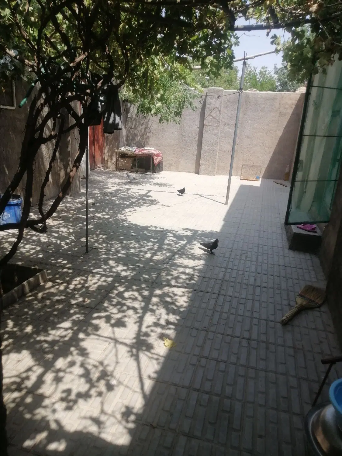 مسکونی، گنبدی