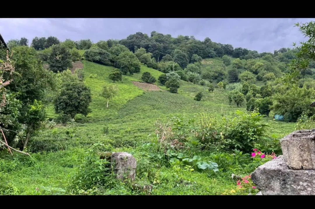 فروش زمین روستایی