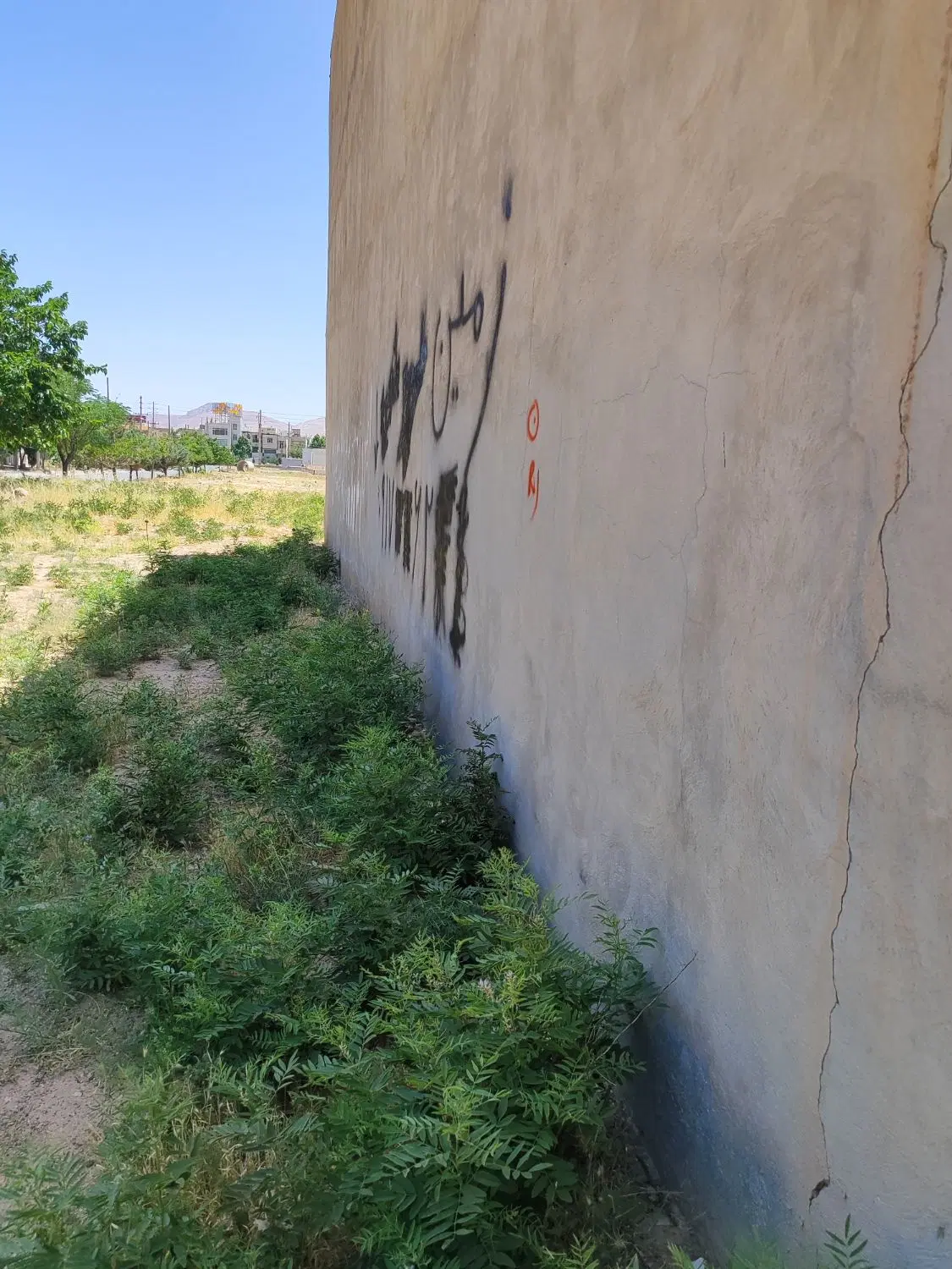 زمین، زیمنس