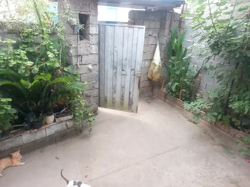 خانه ویلایی لشت نشا