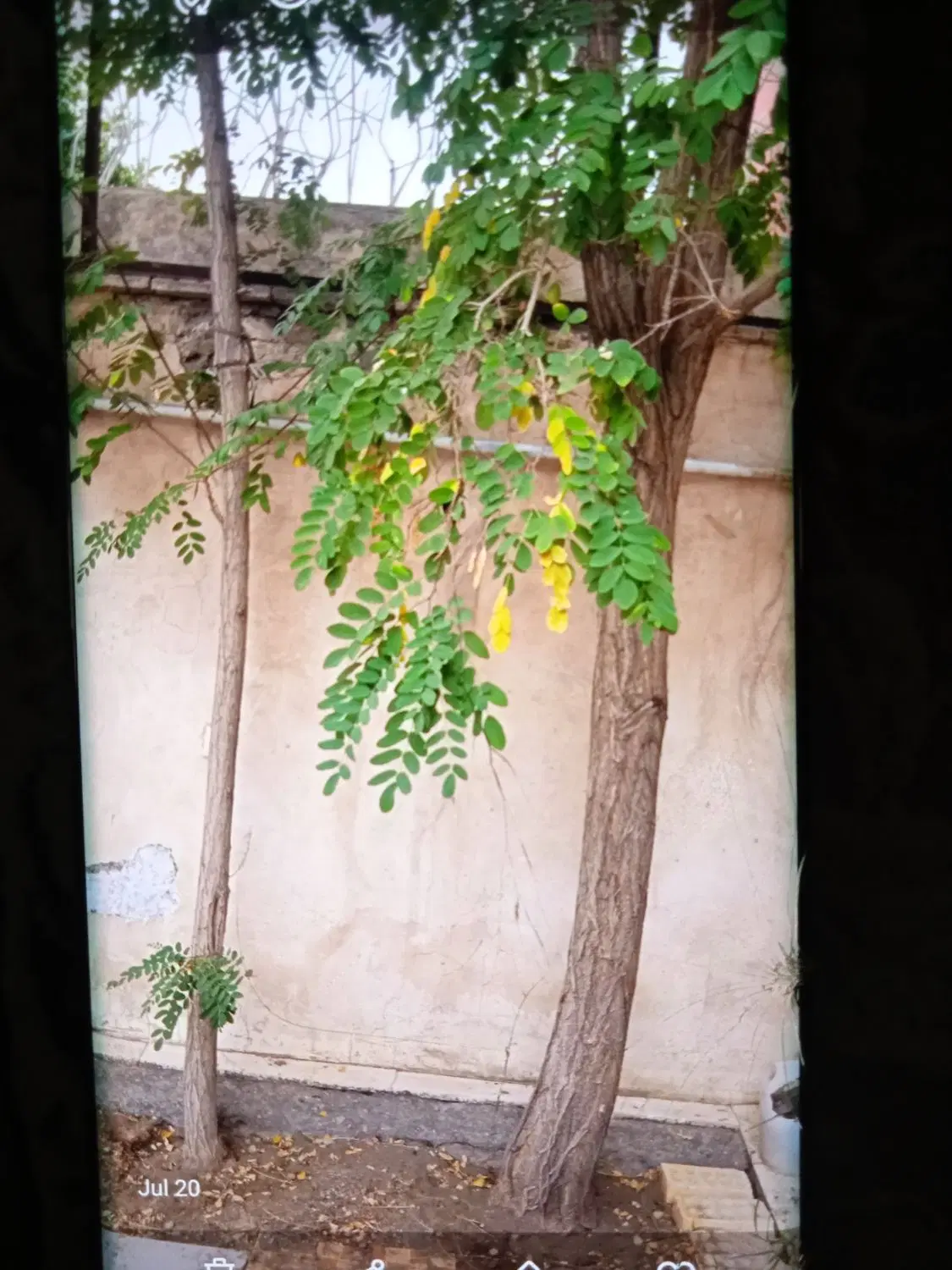 رهن و اجاره خانه ویلایی ۱۷۰ متری در خیابان سروش