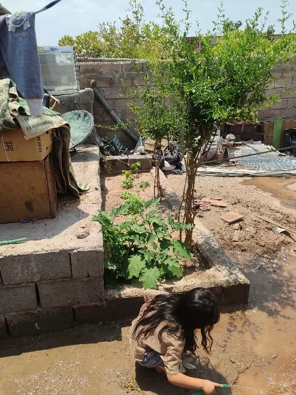 خونه فروشی