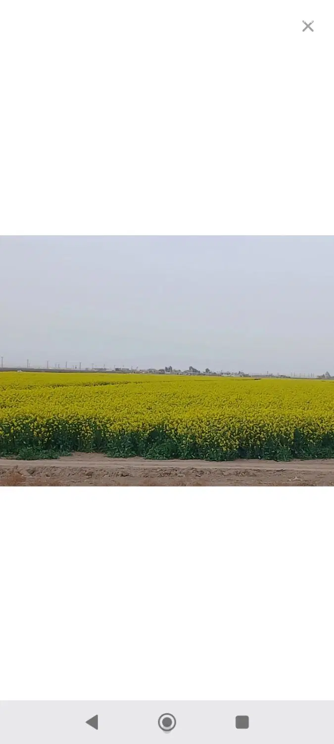 27هکتار زمین زراعی دیم معاوضه ب ماشین