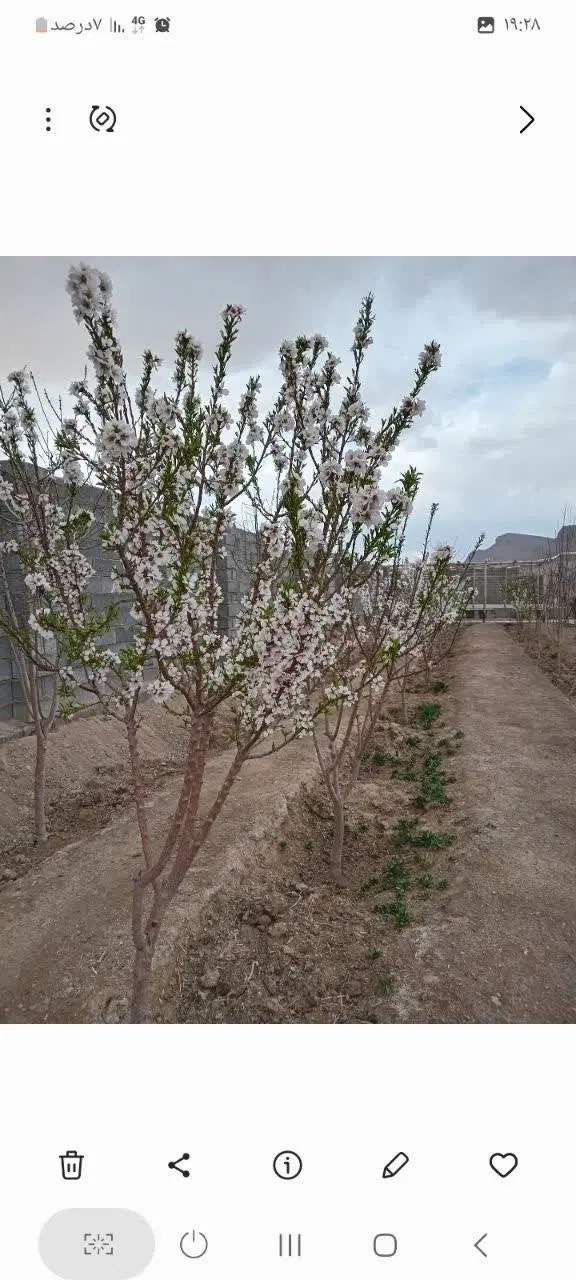 خانه باغ ۹۰۰ متری