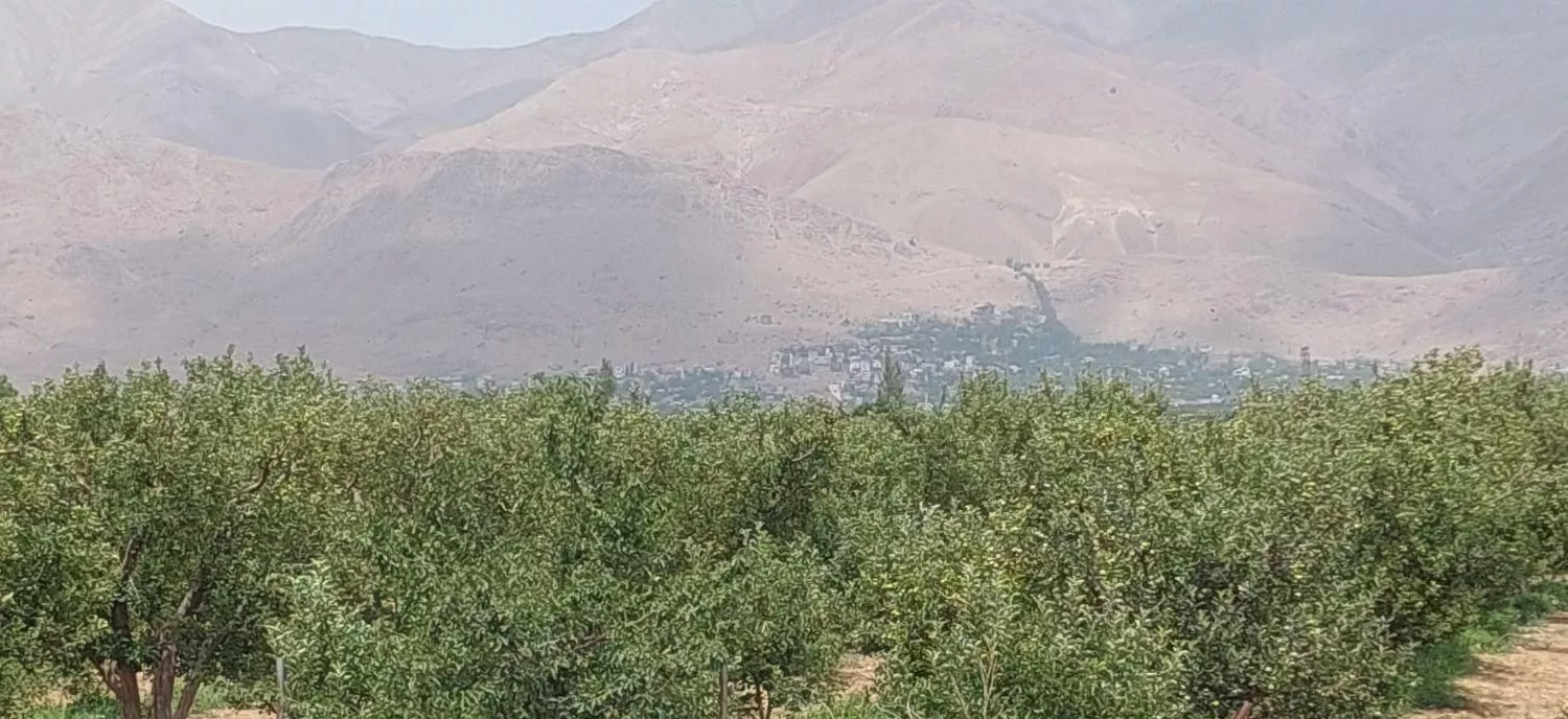 زمین ۳۳۰ متری آبسرد زان _ سند شورایی