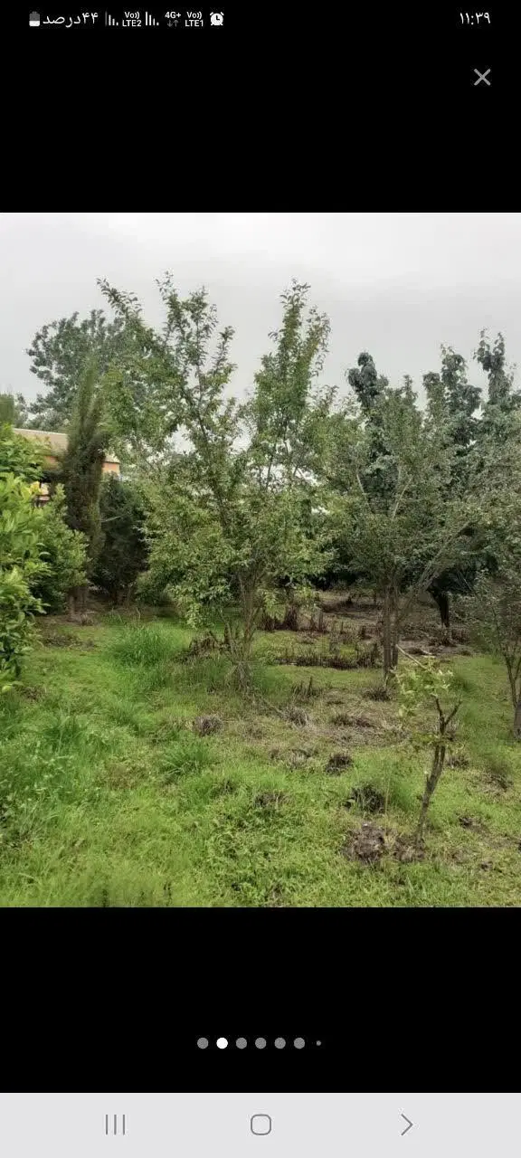 باغ ویلا