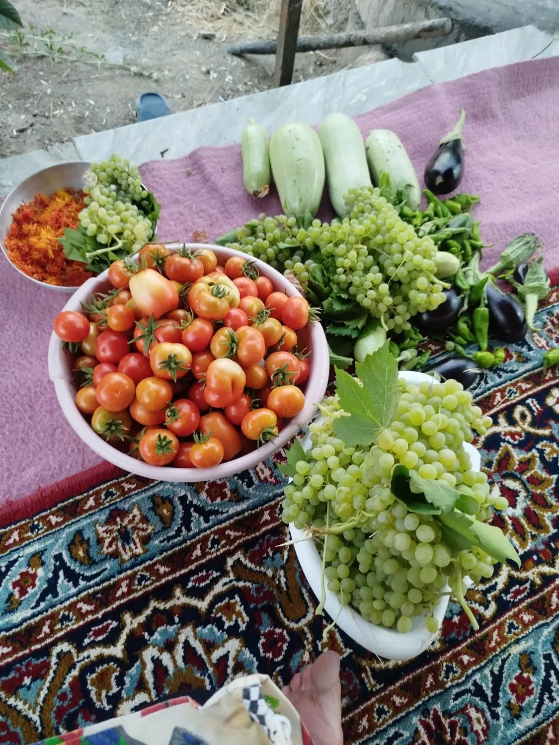 باغ 1500متری نزدیک شهر