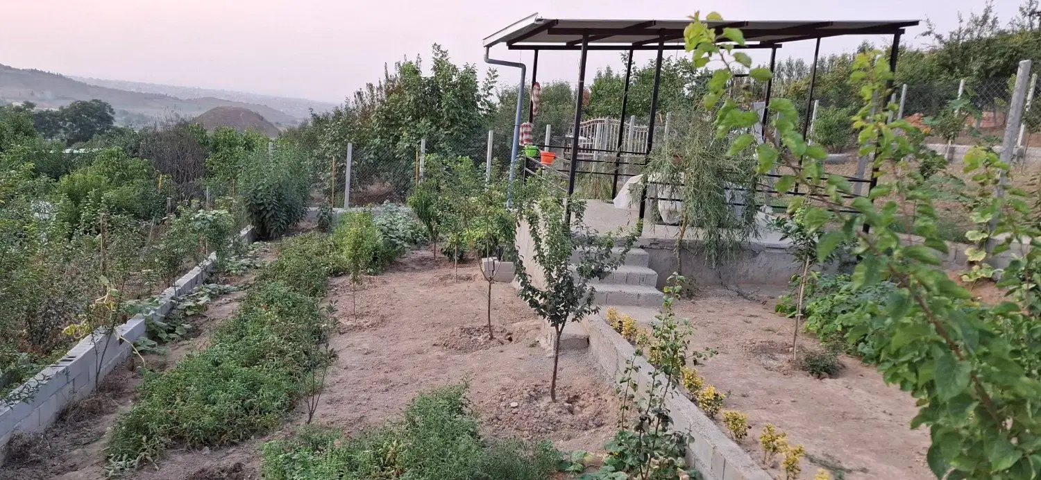 باغ ۳۰۰ متری