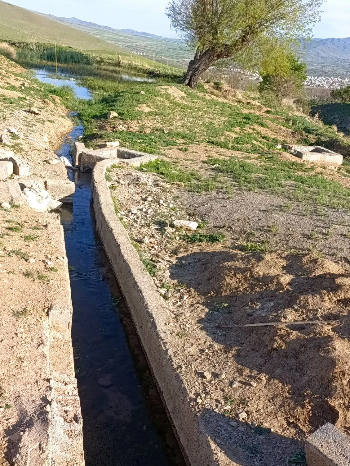 زمین باغی بانهال2ساله ولوله کشی آب تازمین.آستانه.