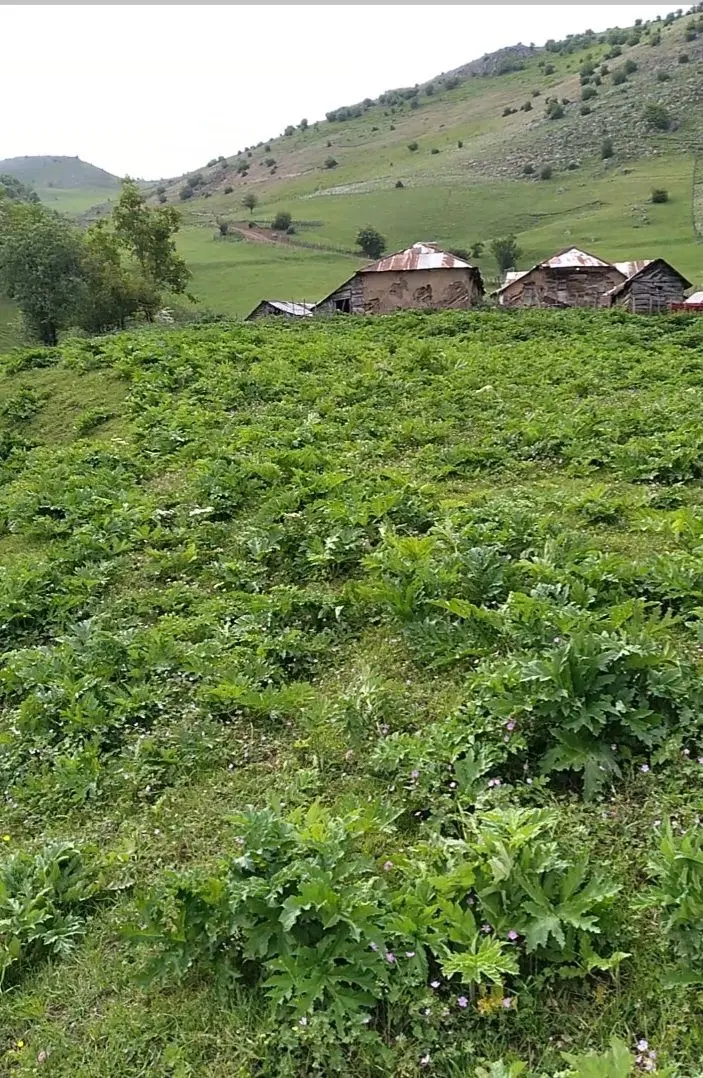 ۵۰۰متر زمین مستثنیات در سوباتان