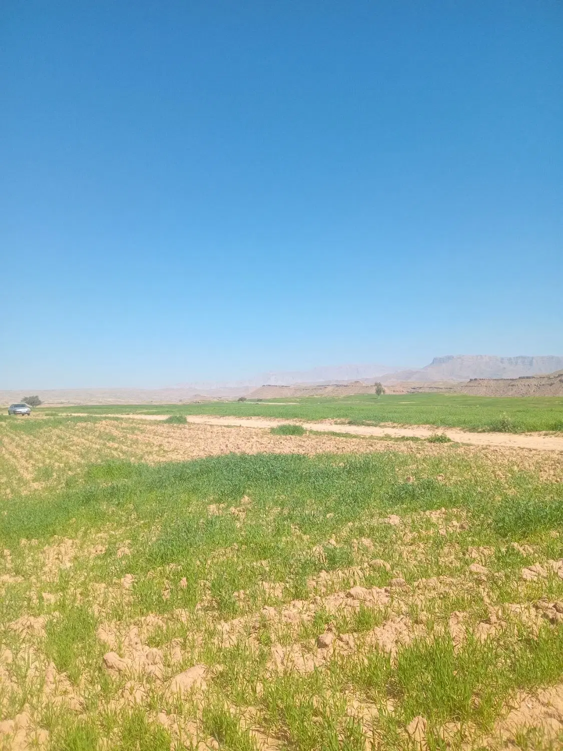 زمین کشاورزی