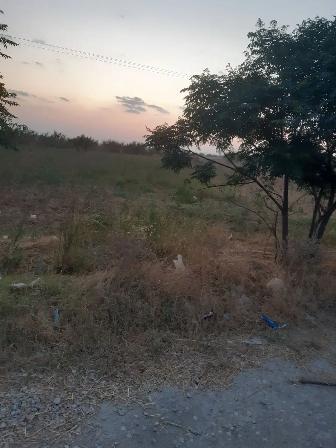 ۱۷۰۰ متر  سند تک برگ