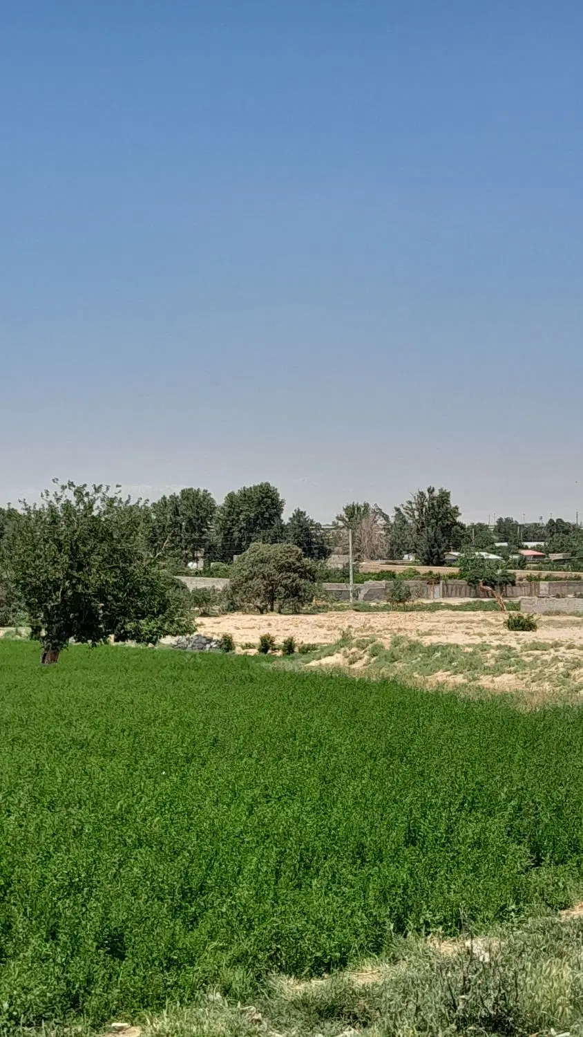 زمین کشاورزی داخل بافت شهری