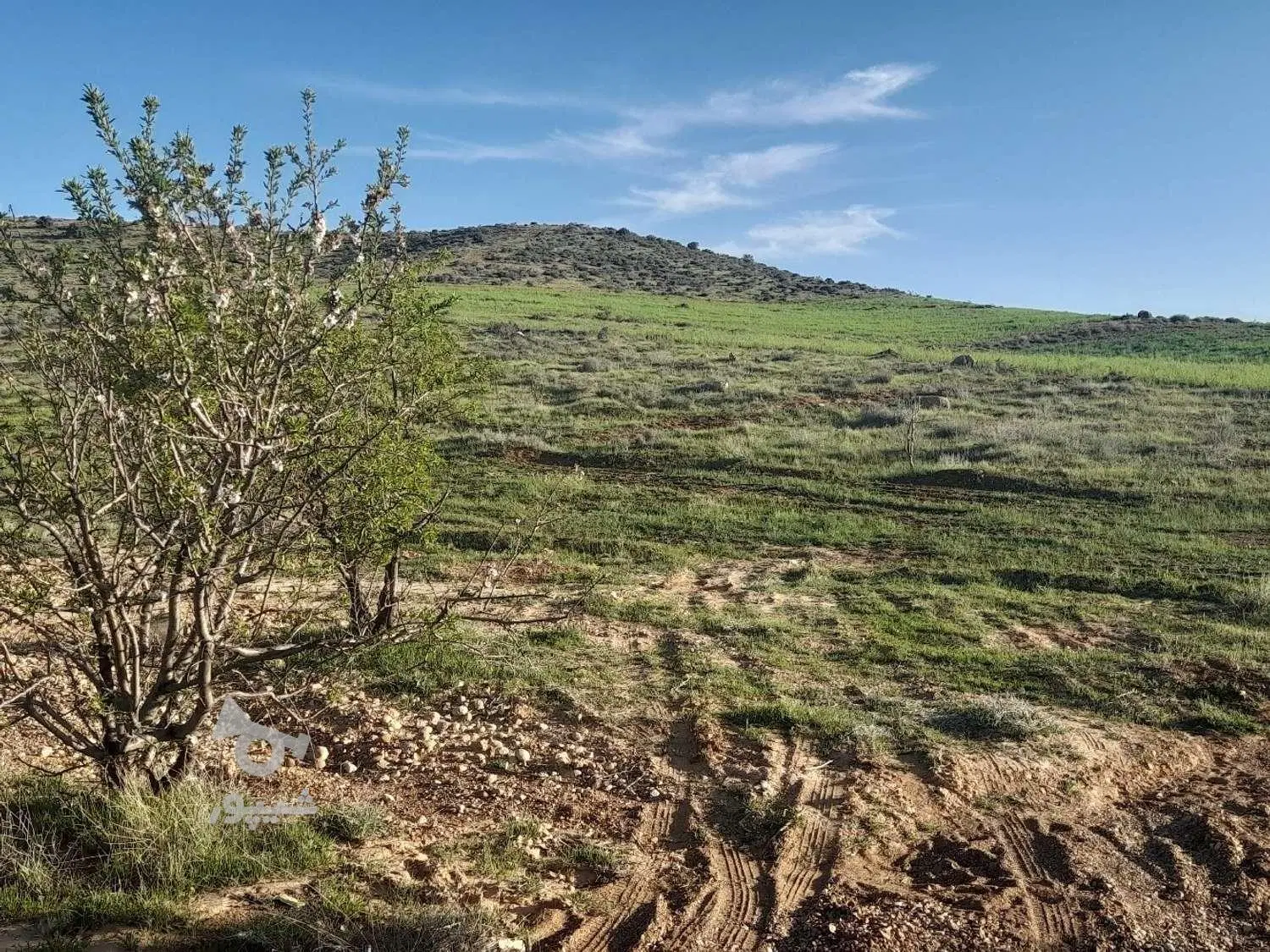 فروش زمین خان زنیان