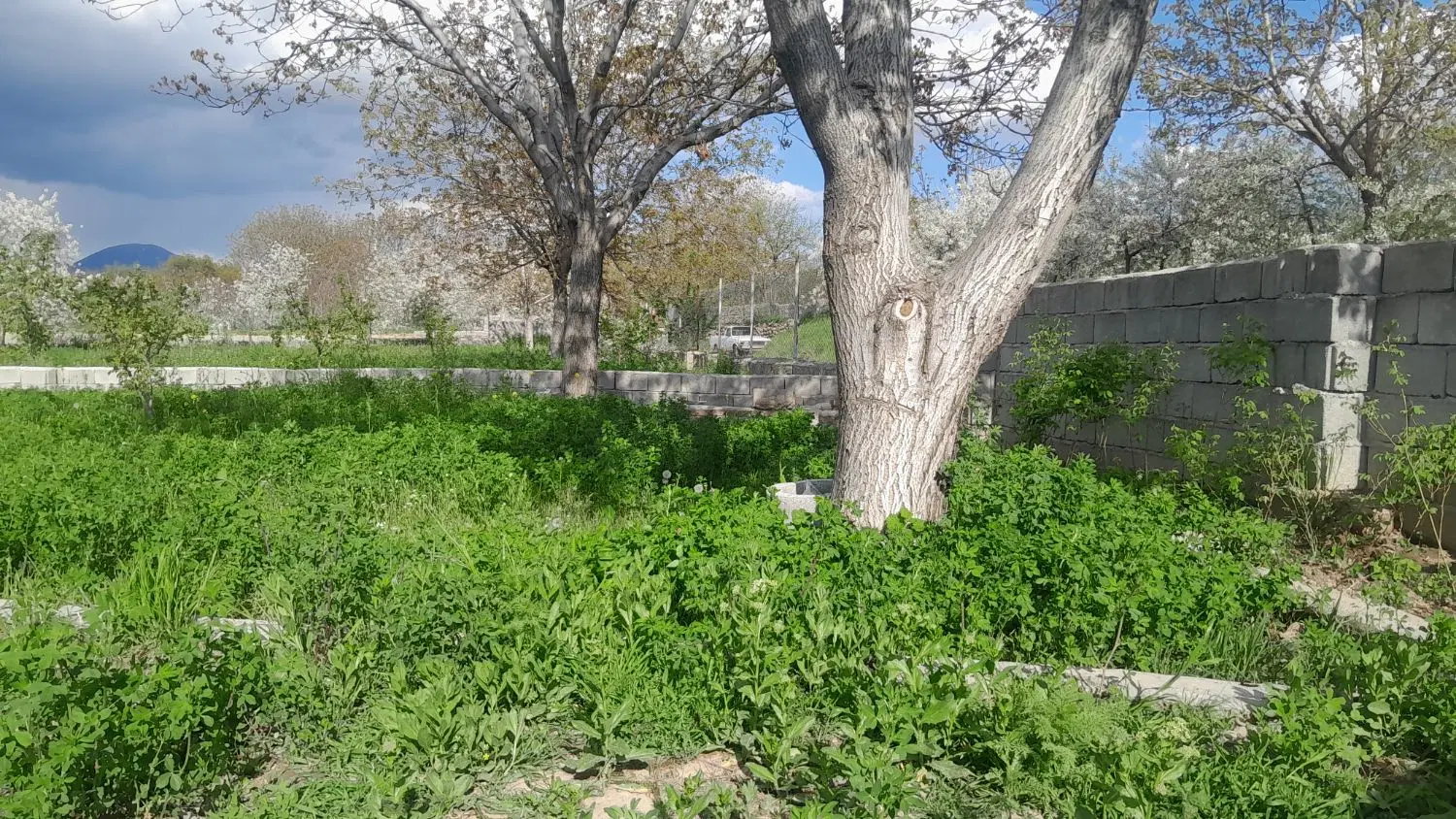 باغ در بناب مرند