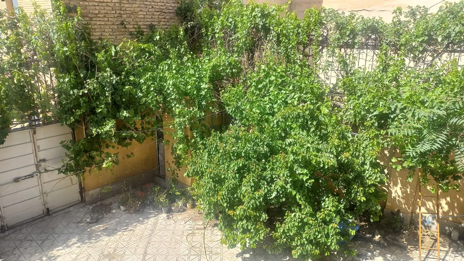 فروش خانه ویلایی