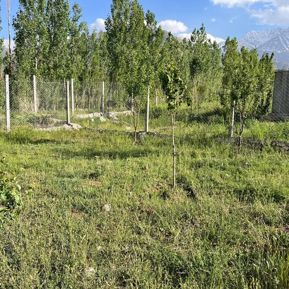 باغ روستای دره تخت