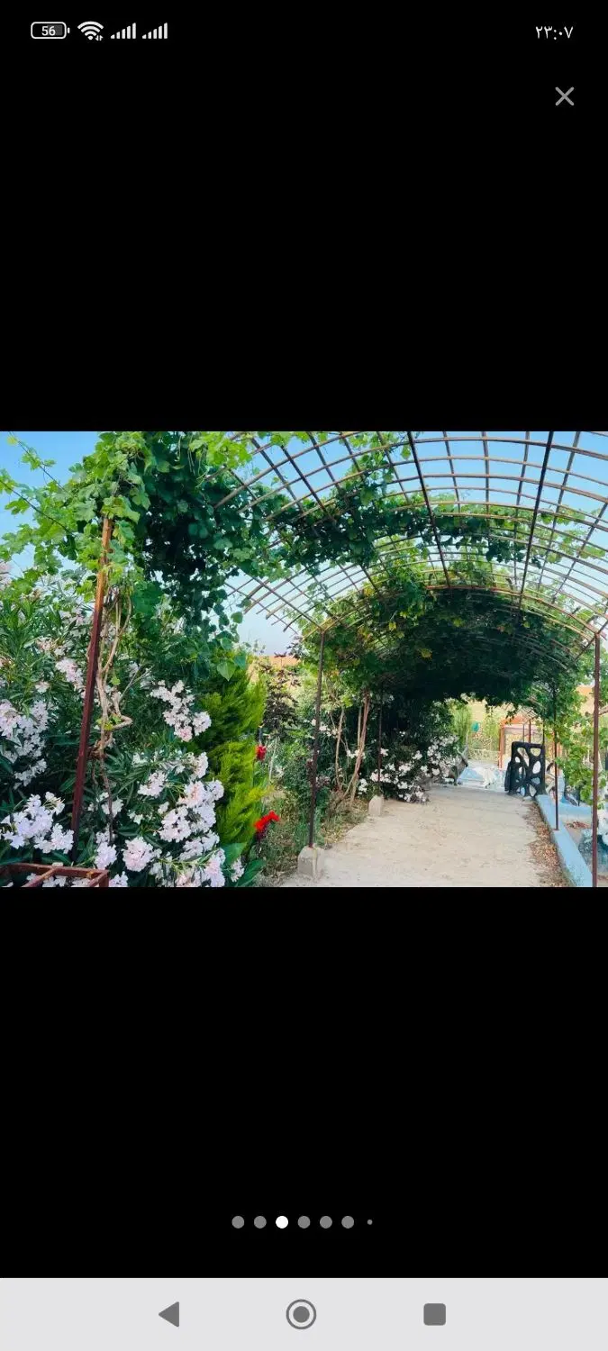 مغازه بر خیابان اصلی