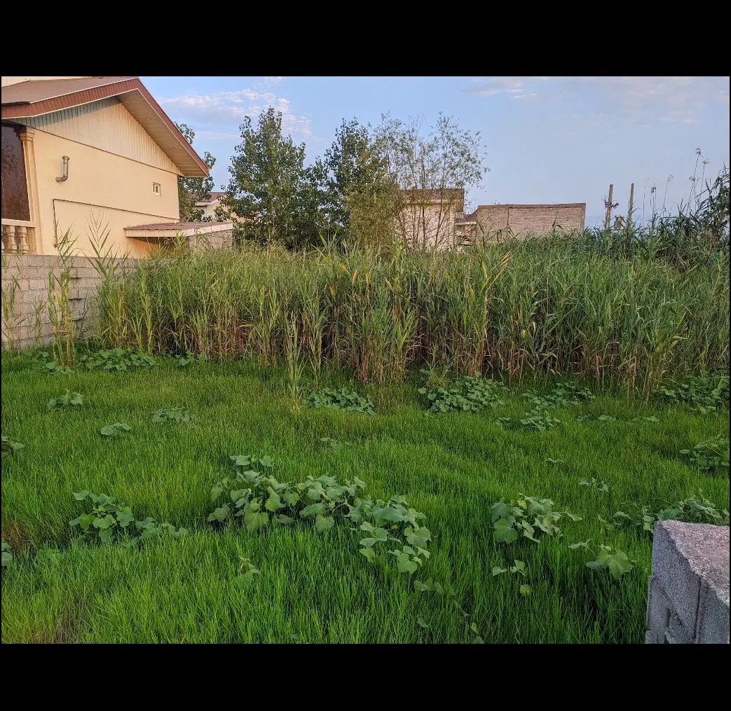 زمین ساحلی چاف چمخاله