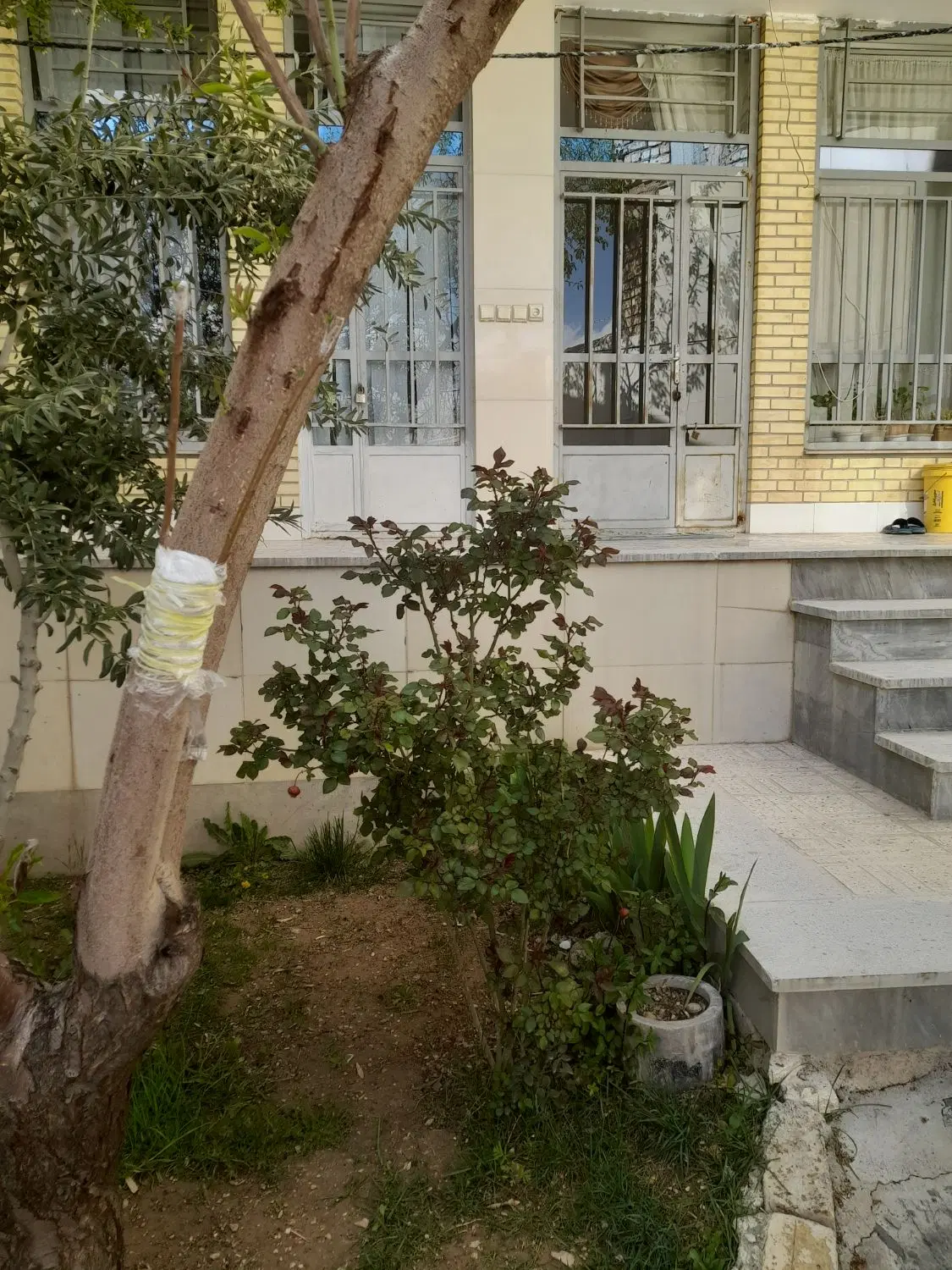 سوئیت دنیا ودانیال