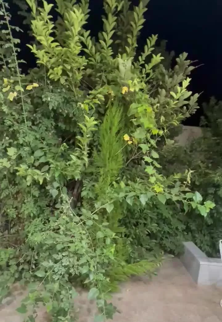 ۱۶۰ متر همکف شیک بدون پله _ فقط زوج_