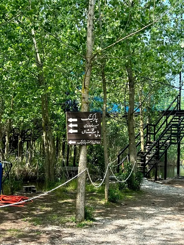 سرمایه گذاری مقروم به صرفه
