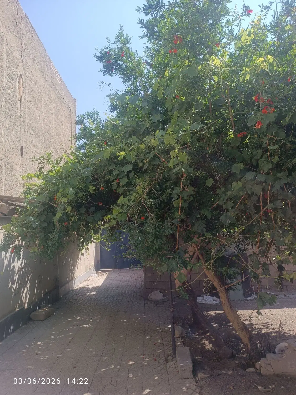 فروش خانه و زمین کلنگی