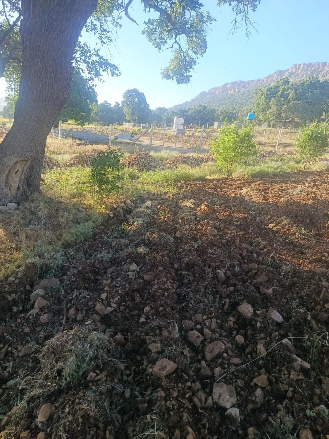 زمین باغ