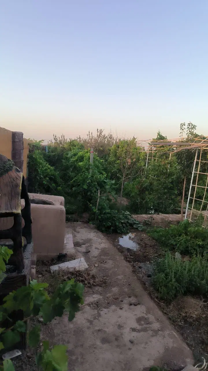 باغ ویلا 600 متری  پشت کارخانه ماکارانی