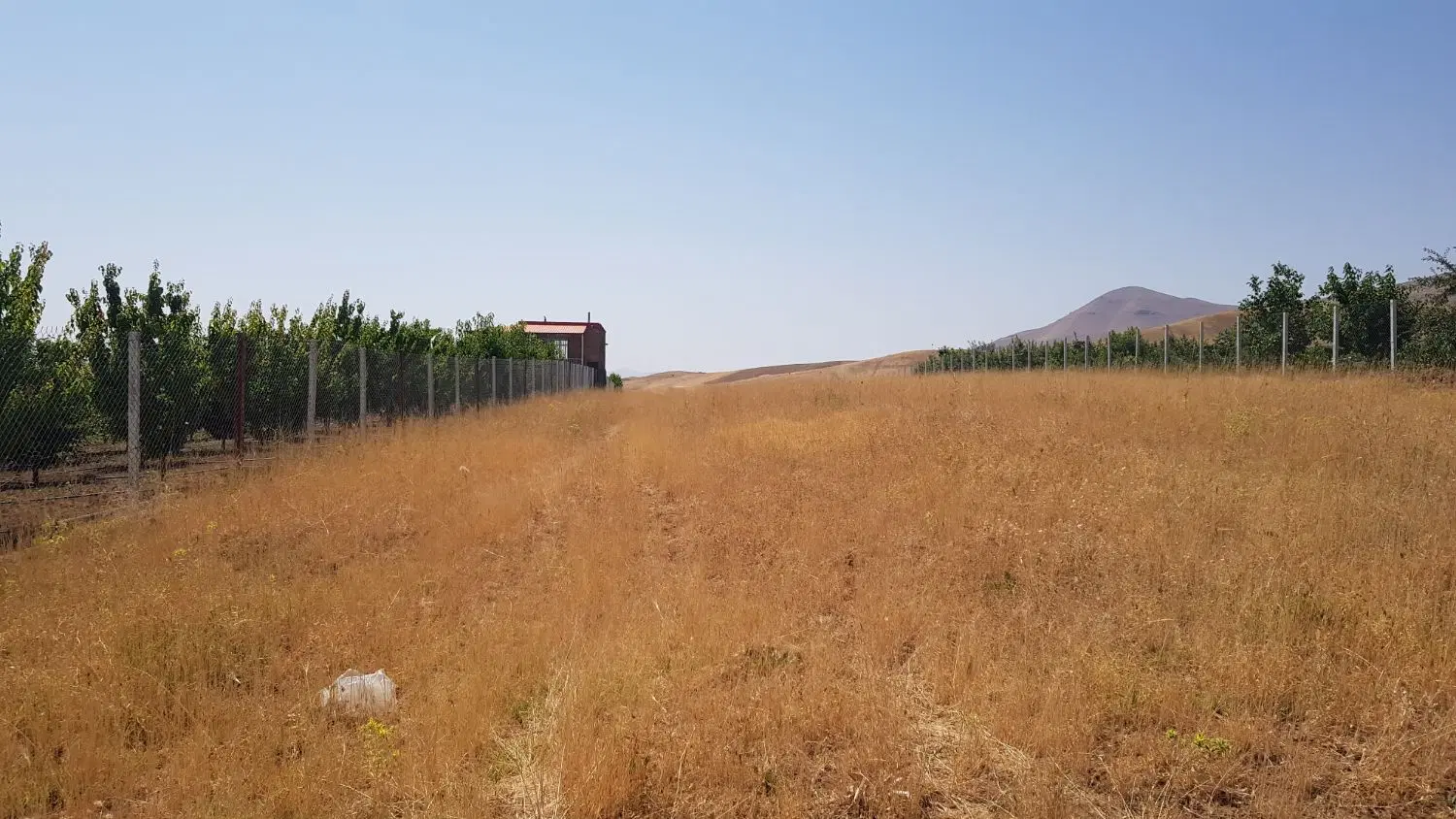 زمین کشاورزی  برای احداث خانه باغ