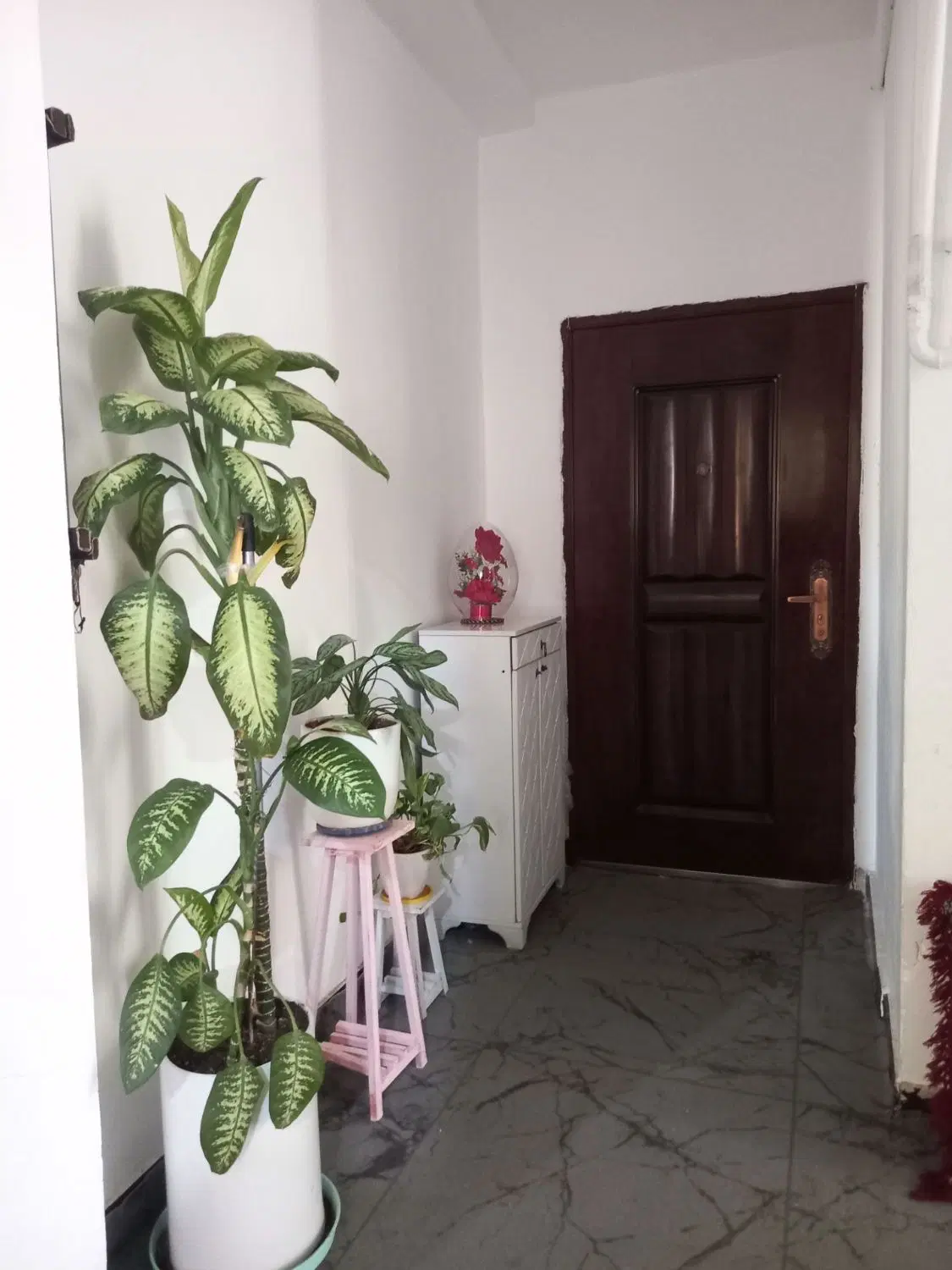 83متر تعاونی 26..