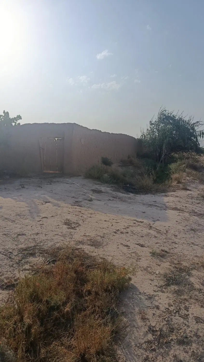 فروش باغ