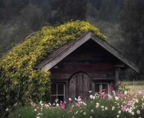 خانه اجاره ای