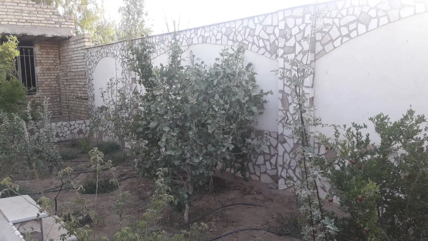 خانه ویلایی باغ سند۶دانگ عرصه واعیان