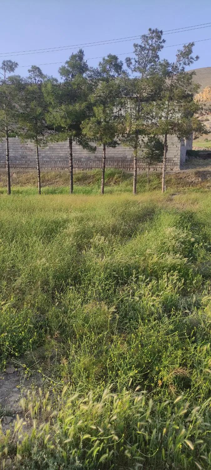 فروش زمین باغی