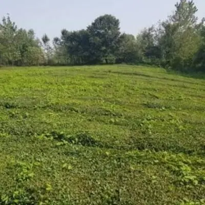 زمین سند دار شهرکی