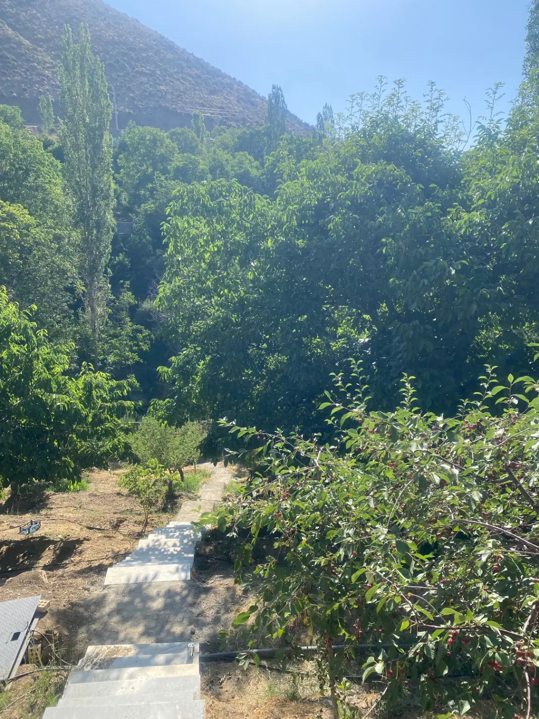 باغ لواسان روستای ایرا