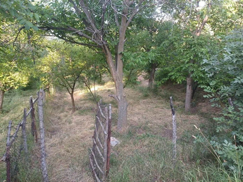 باغ 428 متری در روستای میراش طالقان