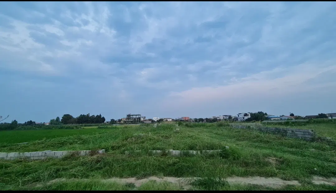 فروش ۴۵۰۰متر زمین در محمودآباد