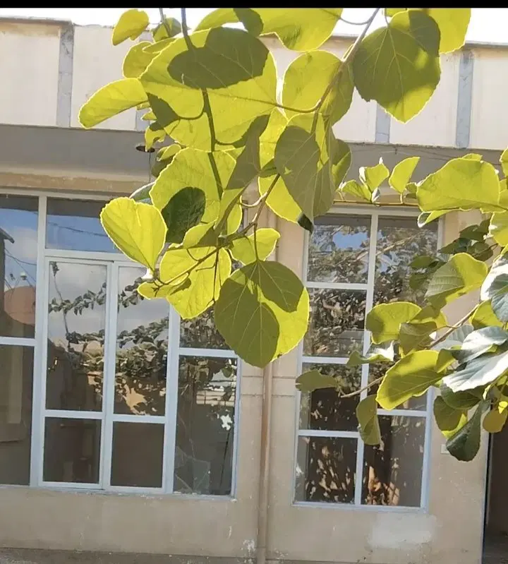 منزل مسکونی اکازیون شهرک سعدی