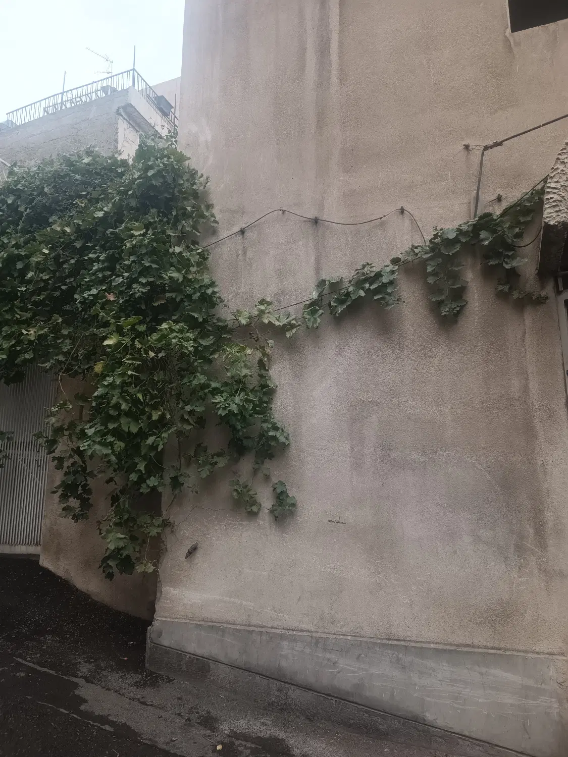 ملک تجاری با انباری و دو‌ طبقه بالای مغازه
